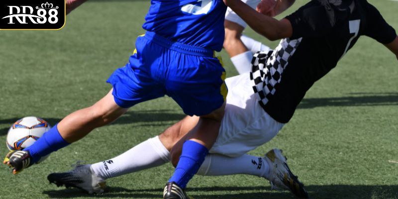 Kèo Rung Là Gì? Bí Quyết Chinh Phục Loại Cược Đầy Thú Vị meo-hay-de-chinh-phuc-keo-rung-la-gi