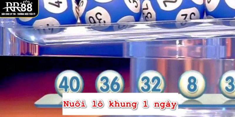 gioi-thieu-lo-khung-1-ngay